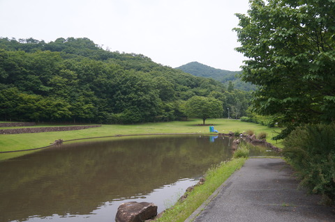 DSC07701