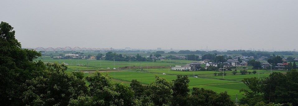 イメージ 12