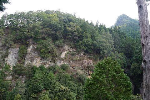 DSC07976