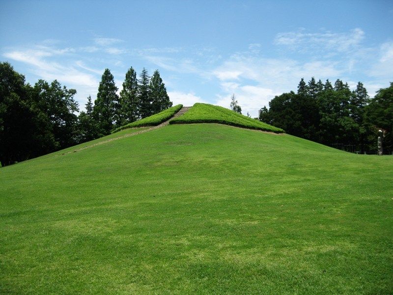 イメージ 12