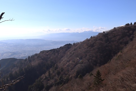 IMG_8905 - コピー