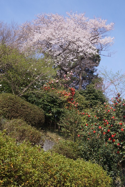 DSC00252