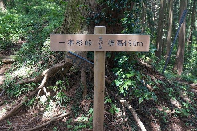 イメージ 11