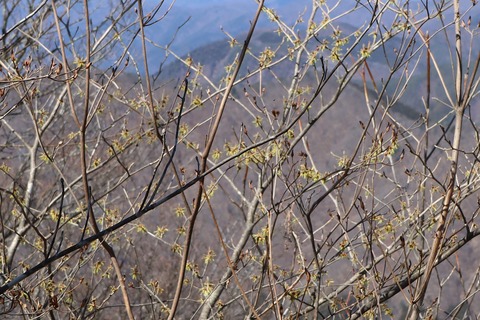 IMG_9640