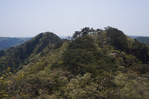 DSC00970
