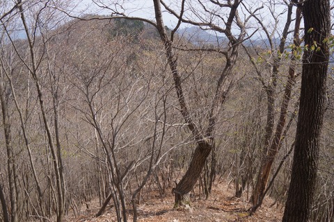 DSC01223
