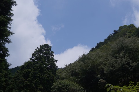 DSC02203