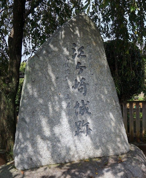 イメージ 6