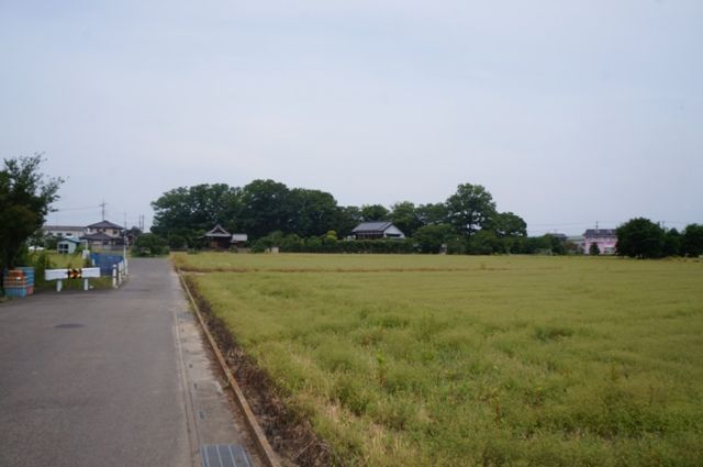 イメージ 14
