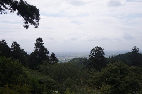 DSC02014