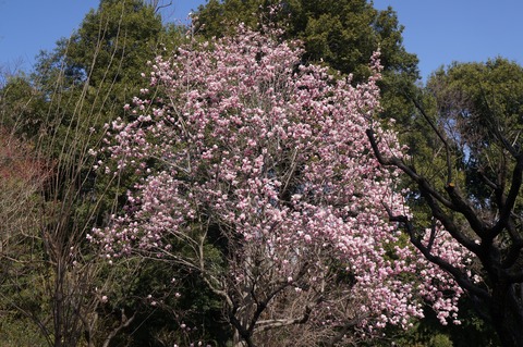 DSC03946