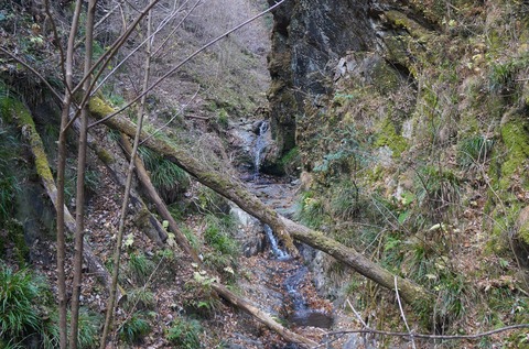 DSC03391