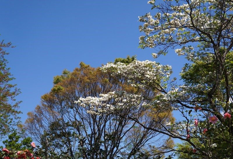 イメージ 9