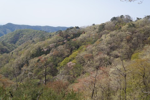 DSC00957