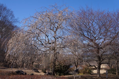 DSC09680