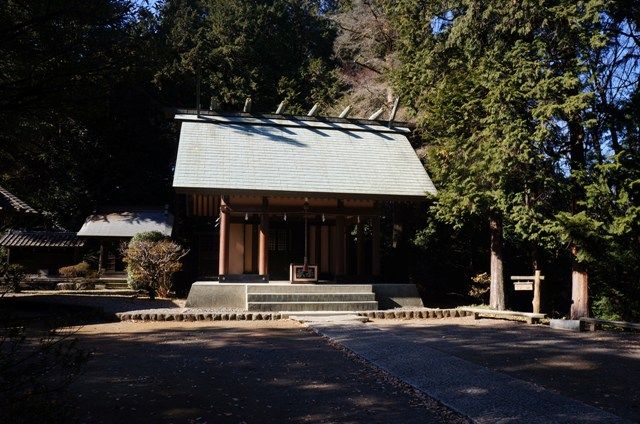 イメージ 16