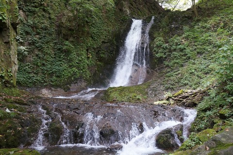 DSC07867 (2)