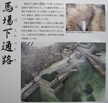 イメージ 15
