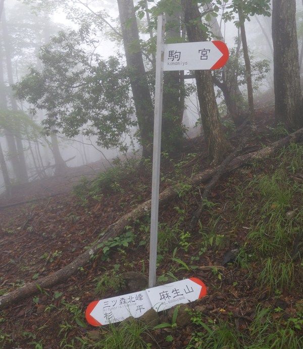 イメージ 12