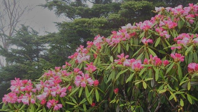 イメージ 13