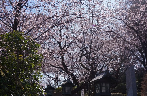 DSC00437