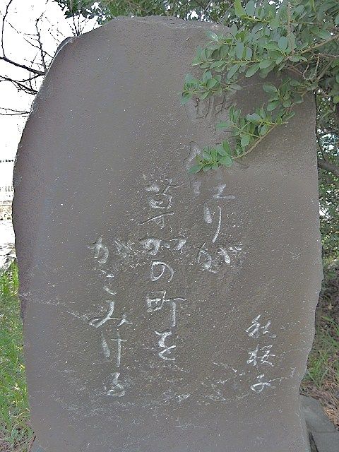 イメージ 13