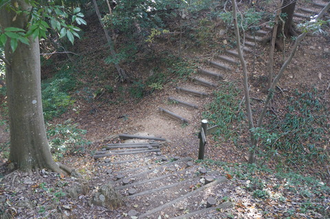 DSC02421