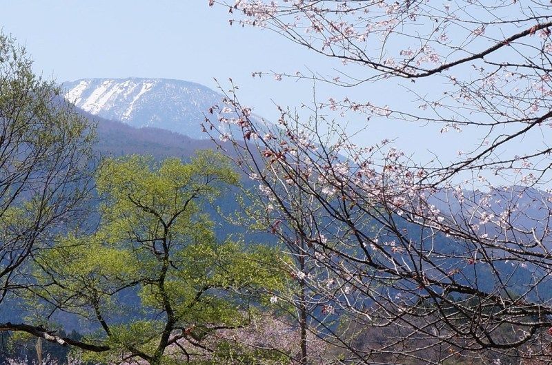 イメージ 15
