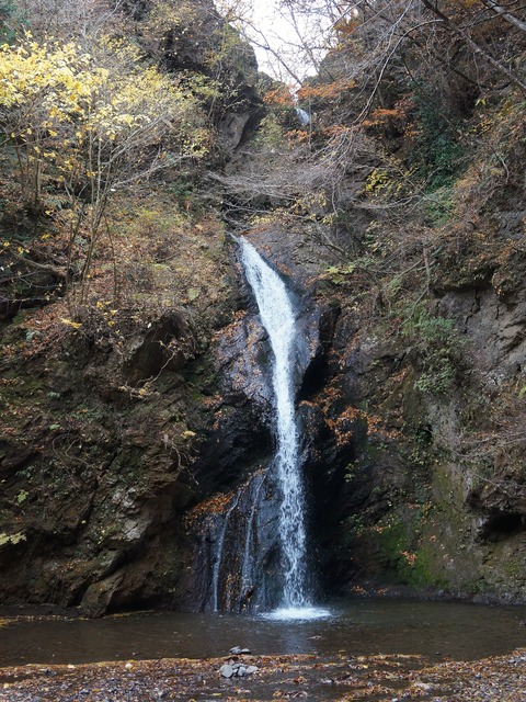 DSC02199