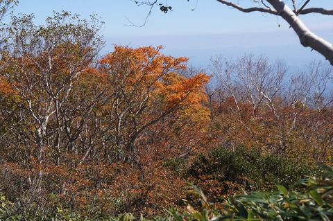 DSC08064