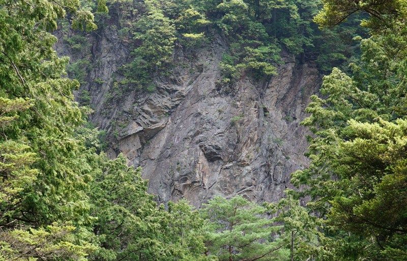 イメージ 12