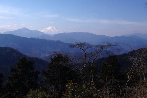 DSC09730