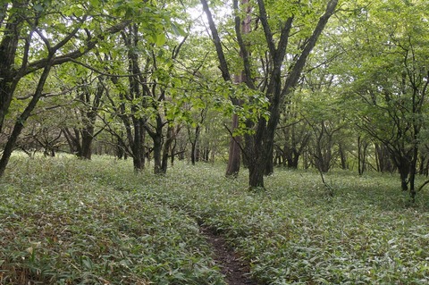 DSC07807 (2)