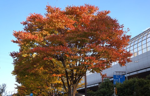 DSC02149