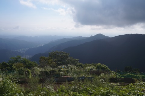 DSC02383