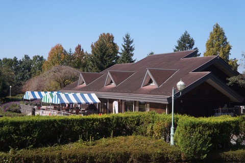 DSC08129