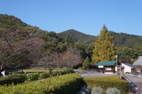 DSC08169
