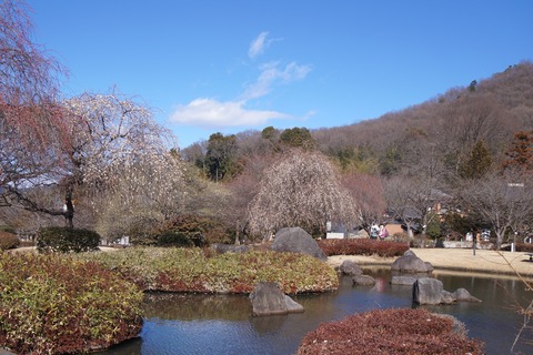 DSC09684