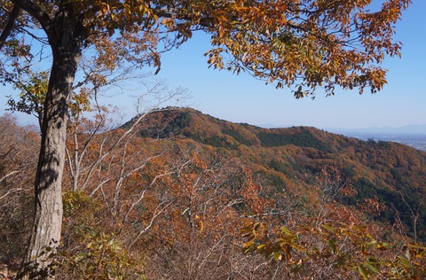 DSC08716