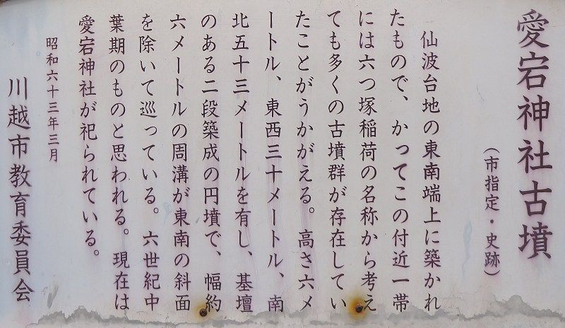 イメージ 16
