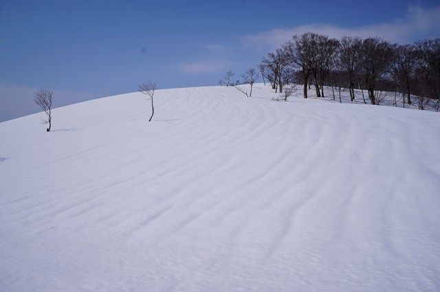 イメージ 12