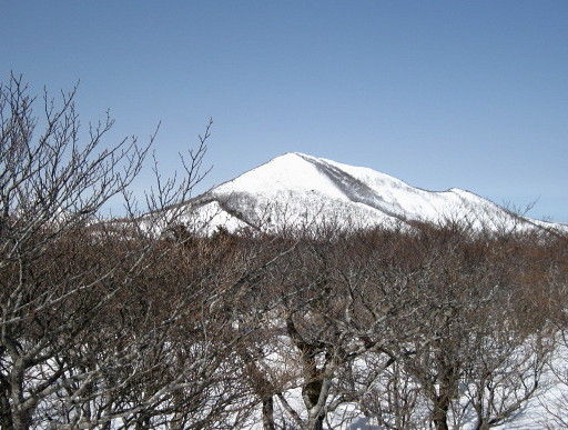 イメージ 5
