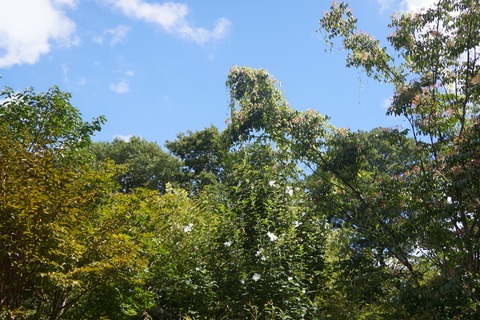 DSC02356