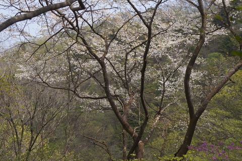 DSC01287