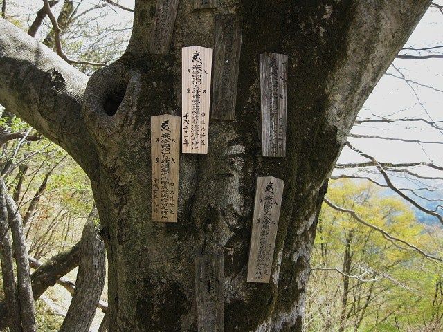 イメージ 4