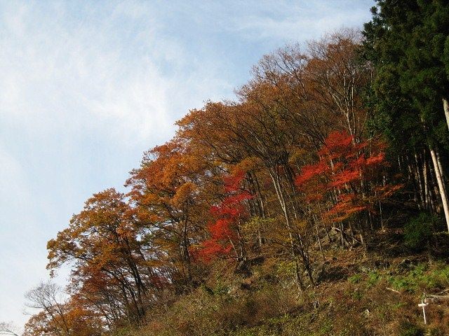 イメージ 11
