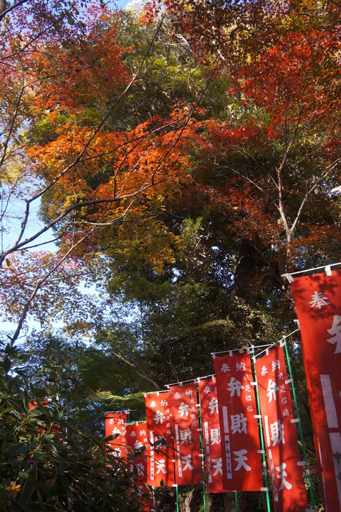 DSC04052