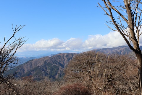 IMG_8896 - コピー