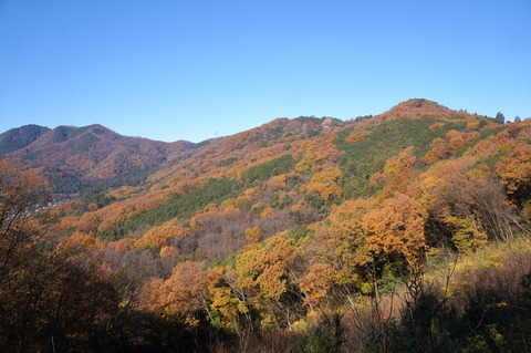 DSC03086