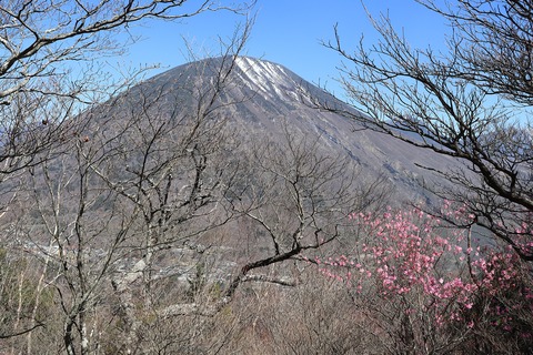 IMG_0454
